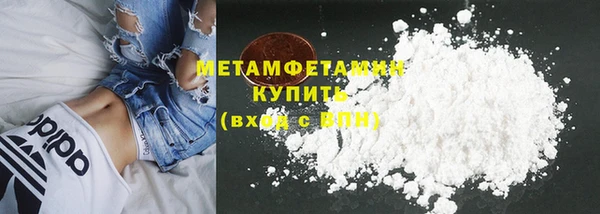 прущие грибы Бронницы