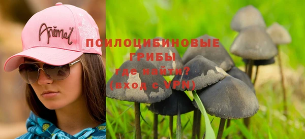прущие грибы Бронницы
