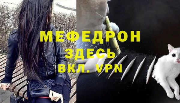 прущие грибы Бронницы