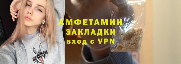 прущие грибы Бронницы