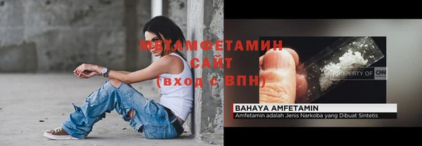 прущие грибы Бронницы