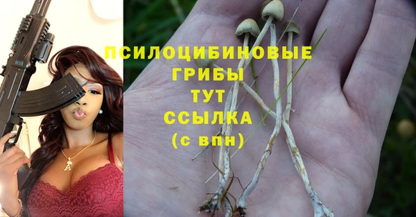 прущие грибы Бронницы