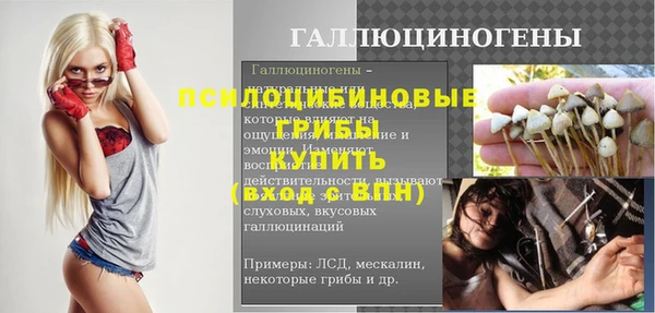 прущие грибы Бронницы