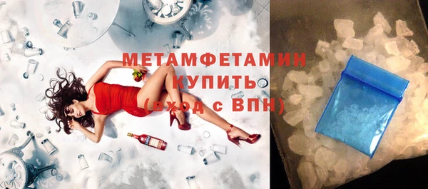 прущие грибы Бронницы