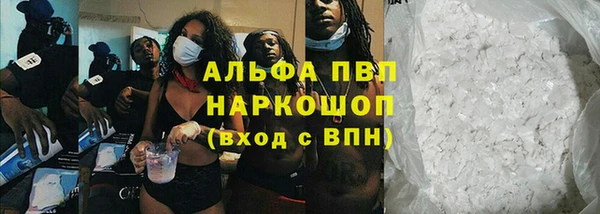прущие грибы Бронницы