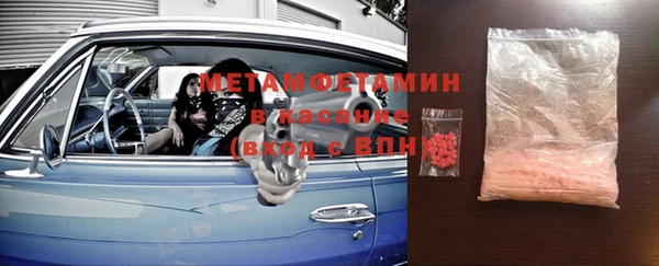 прущие грибы Бронницы