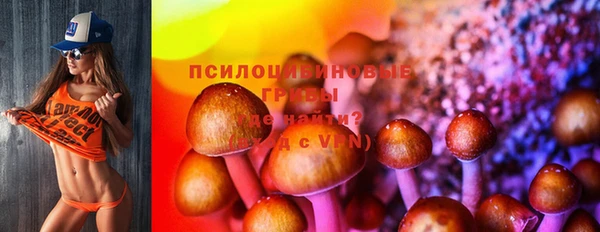 МДМА Бородино