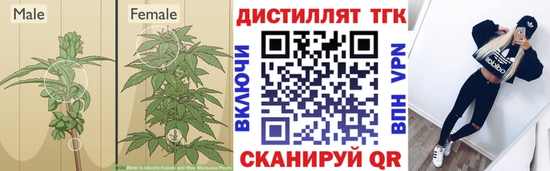 наркотики  MEGA маркетплейс  Дистиллят ТГК концентрат  Норильск 