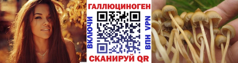 Галлюциногенные грибы ЛСД  Норильск 