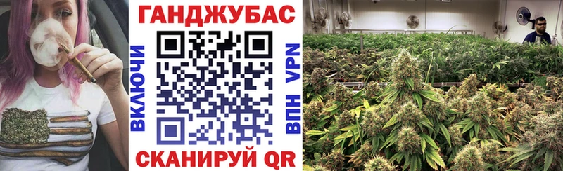 Бошки марихуана индика  Норильск 